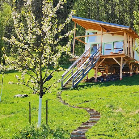 Rainbow Chalet Μπραν Εξωτερικό φωτογραφία