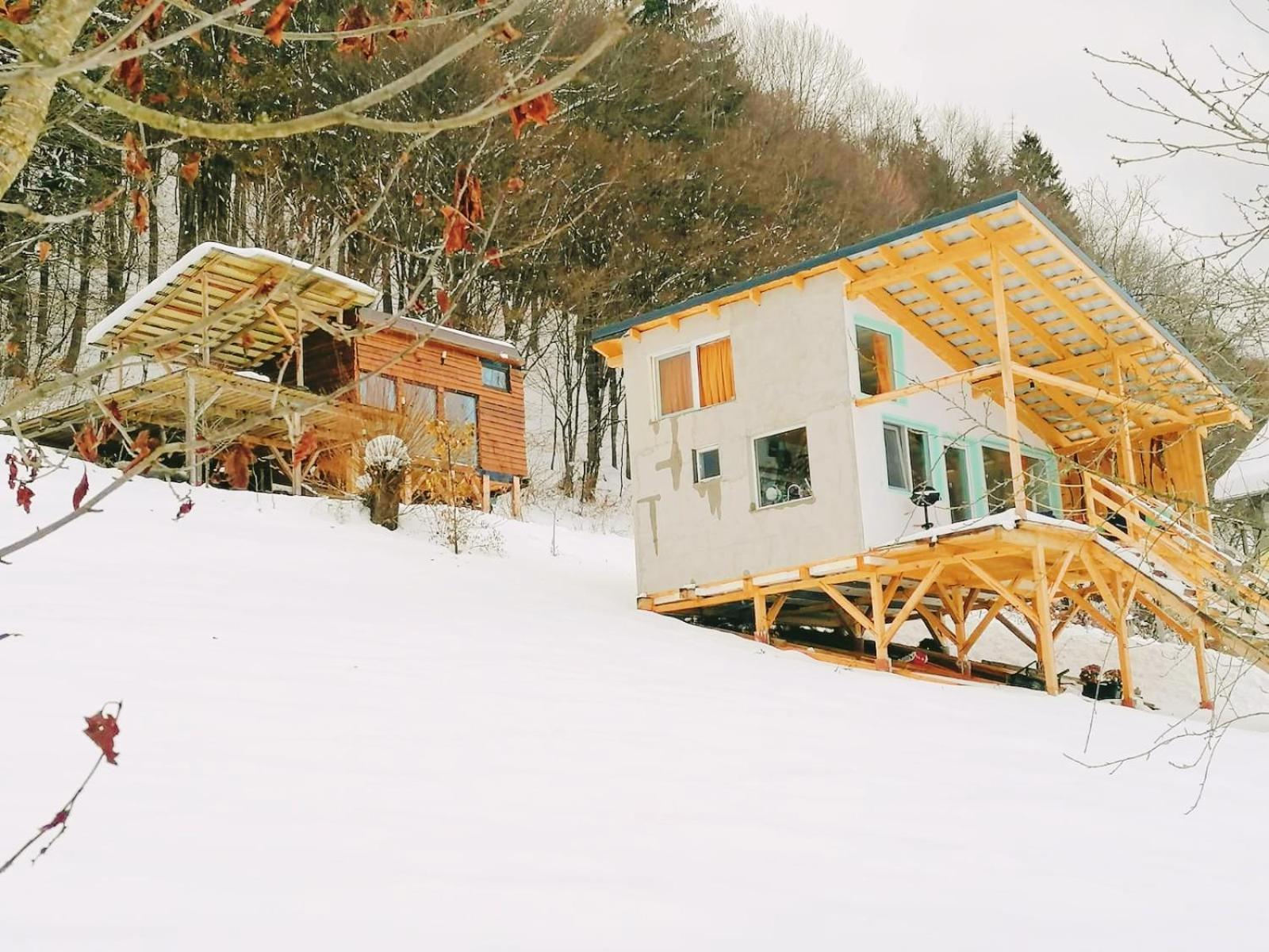 Rainbow Chalet Μπραν Εξωτερικό φωτογραφία