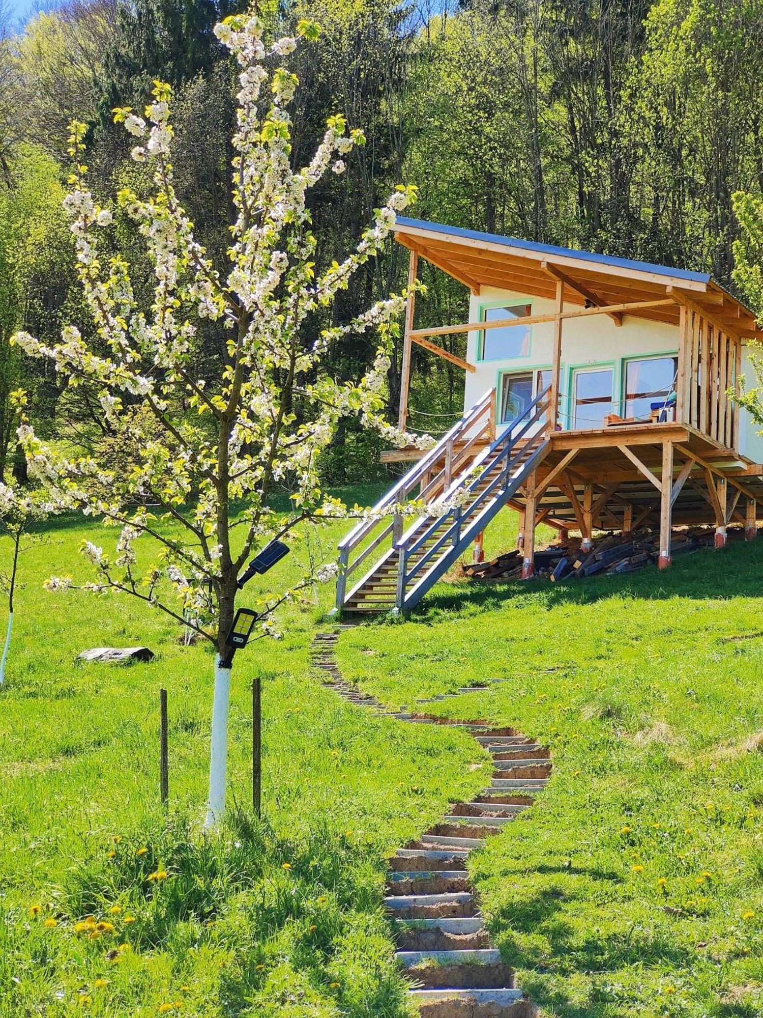 Rainbow Chalet Μπραν Εξωτερικό φωτογραφία